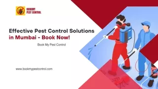 Effective Pest Control Solutions in Mumbai - Book Now!