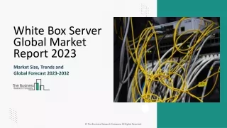 White Box Server Market Size, Share, Trends and Revenue Report