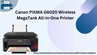 Canon PIXMA G6020 Wireless MegaTank All-in-One Printer (1)