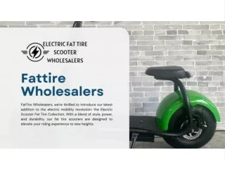 Fat Tire Wholesalers ECO-Friendly Transportation