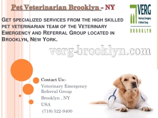 Pet Veterinarian Brooklyn, New York