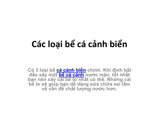 Các loại bể cá cảnh biển