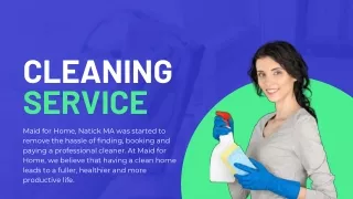 Professional Cleaning Service