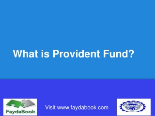 What is Provident Fund? All you need to know