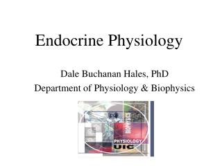 Endocrine Physiology