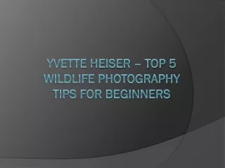 Yvette Heiser – Top 5 wildlife photography tips for beginners