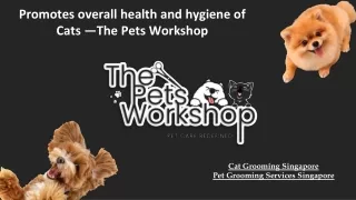 Promotes overall health and hygiene of Cats —The Pets Workshop