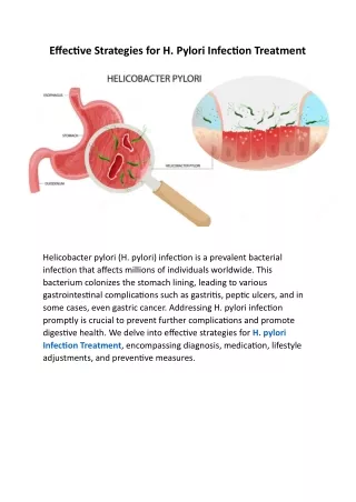 Effective Strategies for H Pylori Infection Treatment