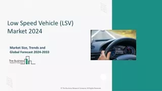 Low Speed Vehicle (LSV)