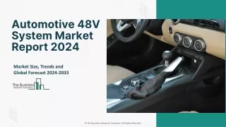 Automotive 48V System Market Demand, Size, Share And Forecast To 2033