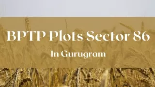 BPTP Plots Sector 86 In Gurgaon - PDF