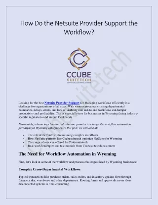 How Do the Netsuite Provider Support the Workflow