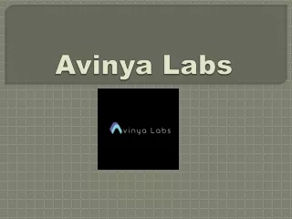 Avinya Labs: Your Blockchain Developer & Marketing Agency