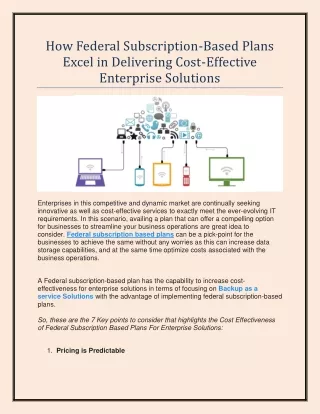 How Federal Subscription-Based Plans Excel in Delivering Cost-Effective Enterprise Solutions