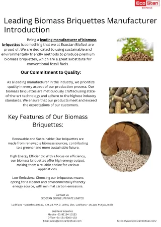 Biomass Briquettes Manufacturer