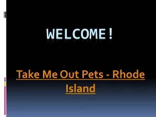 One of the Best Pet Boarding in Gaspee Point