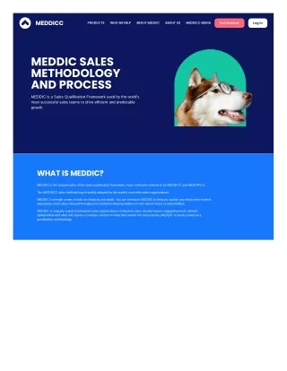 meddicc-com-meddic-sales-qualification-and-frameworks