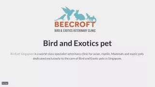 Bird and Exotics pet, Mammals veterinary specialist Clinic Singapore