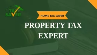 Property Tax Professionals: Your Pathway to a Successful Appeal