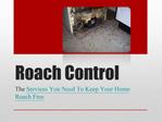 Roach Control - The Services You Need To Keep Your Home Roac