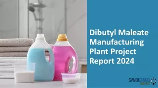 Dibutyl Maleate Manufacturing Plant Project Report 2024