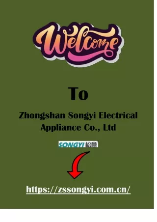 Zhongshan Songyi 18KW RV Gas Water Heater - Unmatched Performance for Your Travel Comfort