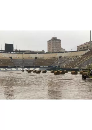 Green Valley Turf - Sod Supplier in Denver