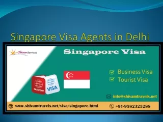 singapore visa agents