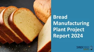 Bread Manufacturing Plant Project Report 2024