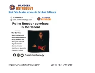 Best Palm Reader services in Carlsbad California