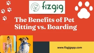 Download Pet Boarding App - Fizgig App - Pet Caring App