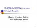 Human Anatomy, First Edition McKinley OLoughlin