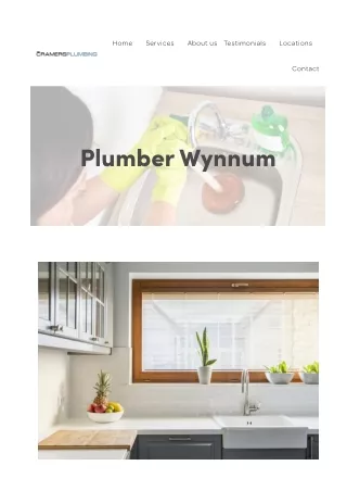 Plumber Wynnum