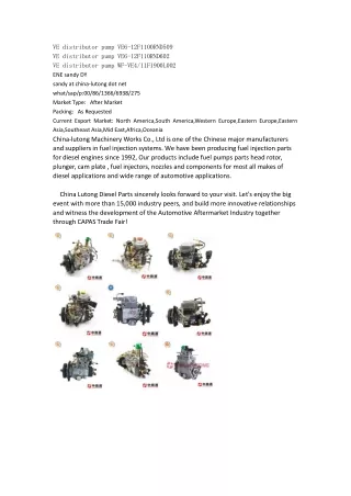 VE distributor pump VE6-12F1100RND509
