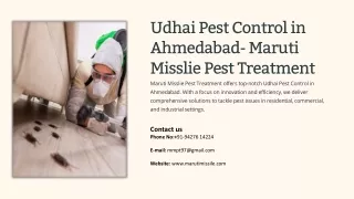 Termites Pest Control in Ahmedabad, Termites Pest Control Services in Ahmedabad