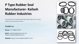 Piston Seal Manufacturer, Piston Seal Manufacturer in Ahmedabad