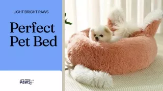 Best Calming Pet Bed at Light Bright Paws