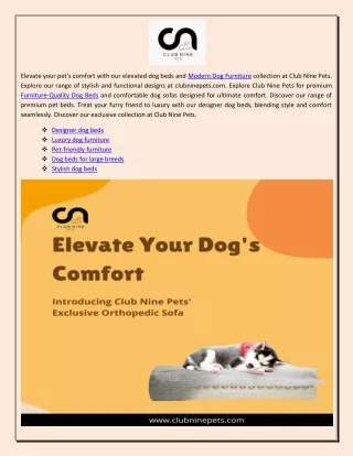 Designer dog beds