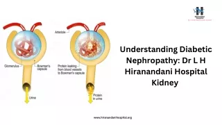 Understanding Diabetic Nephropathy Dr L H Hiranandani Hospital Kidney