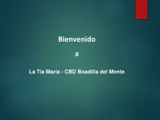 Mejor Cosmética CBD en Pino Centinela