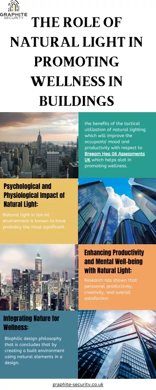 The Role of Natural Light in Promoting Wellness in Buildings