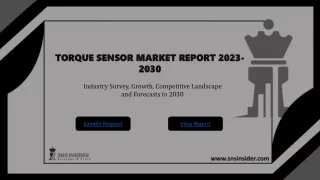 Torque Sensor Market Share Report, Industry & Size