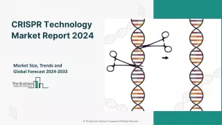 Global CRISPR Technology Market 2024 Characteristics, Trends And Strategies
