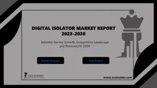 Digital Isolator Market Size, Industry Report, Outlook and Share 2030