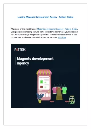 Leading Magento Development Agency - Pattem Digital