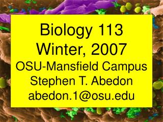 Biology 113 Winter, 2007 OSU-Mansfield Campus Stephen T. Abedon abedon.1@osu.edu