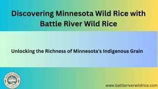 Minnesota Wild Rice