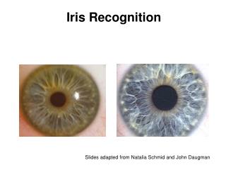 Iris Recognition
