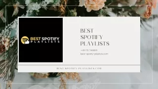 Best Spotify Playlists