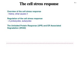 The cell stress response